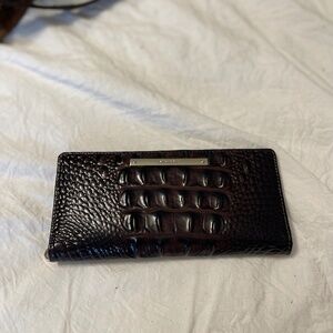 Dark Brown Brahmin Ady